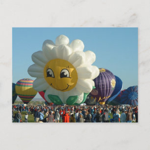 Balloon Fiesta Daisy Postcard