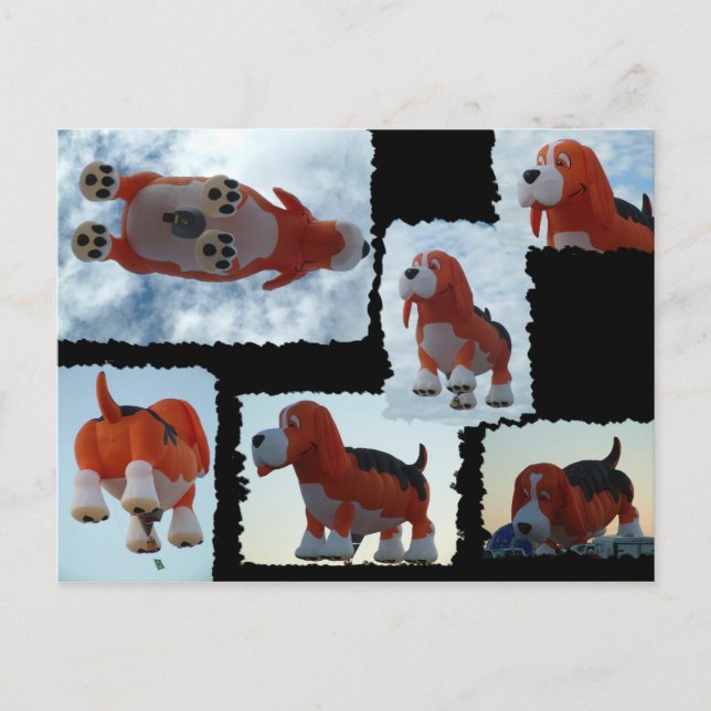 Balloon Fiesta Dog Postcard (Front)