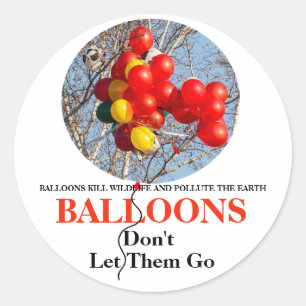 BALLOONS, Don't Let Them Go Classic Round Sticker