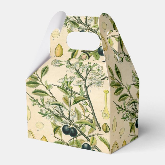 Ballotins Antique Blackthorn Botanique Imprimé Fleur Berry (Verso)