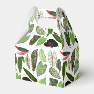 Ballotins Aquarelle botanique Vintage verdure Feuilles