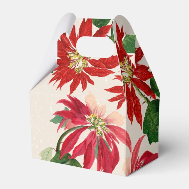 Ballotins Aquarelle rouge rustique Poinsettia Flore Verdure (Verso)