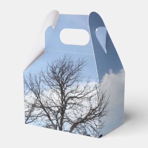 Ballotins Arbres par une journée ensoleillée d'hiver