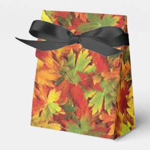 Ballotins automne Feuilles Ballotin