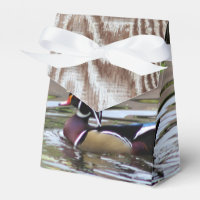 Ballotin de canard sauvage