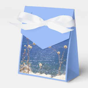 Ballotins Ballotin de la mer bleue grecque