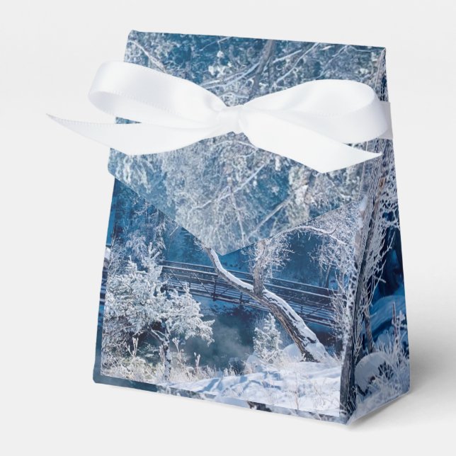 Ballotins Ballotin de mariage d'hiver de neige blanche (Verso)