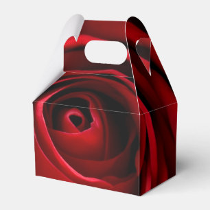 Ballotins Ballotin de pignon de rose rouge