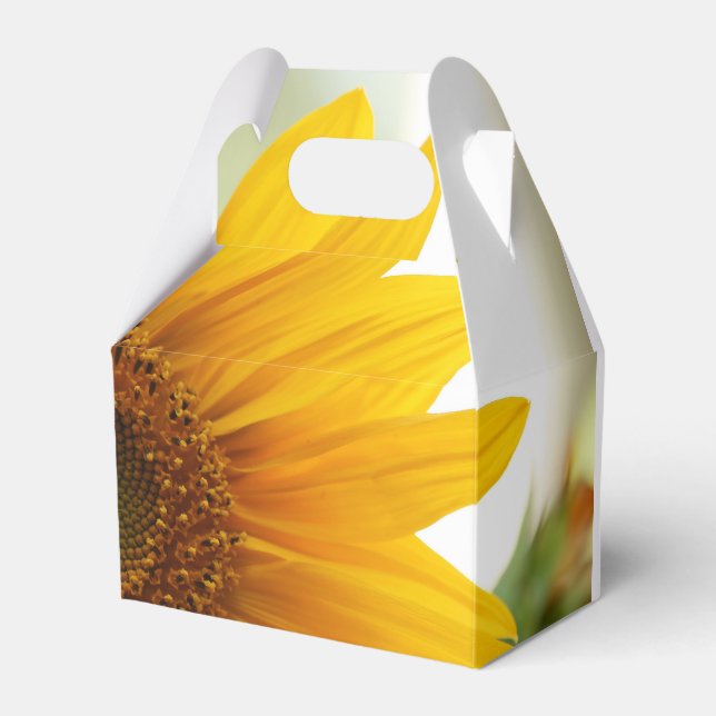 Ballotins Ballotin de tournesol d'été (Verso)