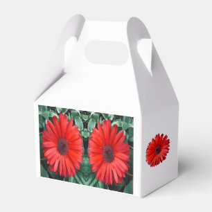 Ballotins Ballotin orange Daisy
