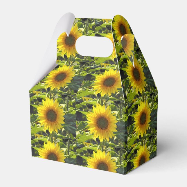 Ballotins Ballotin Sassy Sunflowers (Verso)