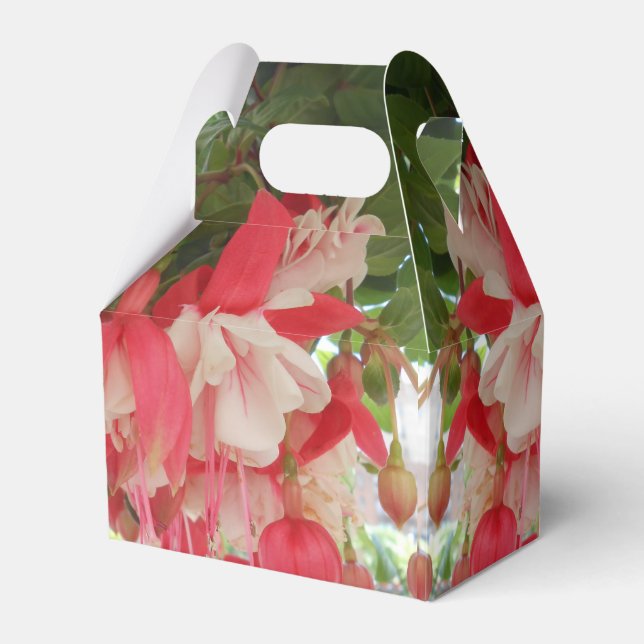 Ballotins Bashkirtseff (Verso)