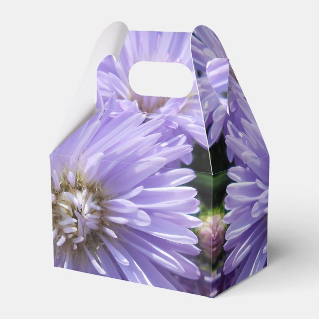 Ballotins Berlinette (Verso)