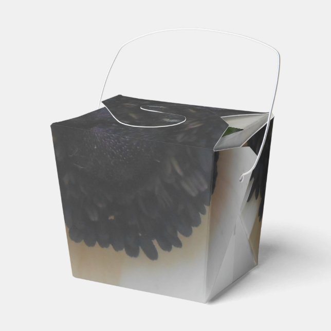 Ballotins Blanchard (Verso)