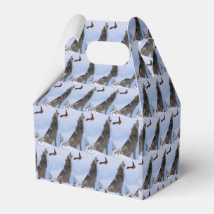 Ballotins Boîte à faveurs Gable