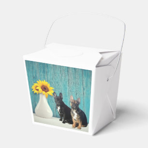 Ballotins boîte cadeau bouledogue français