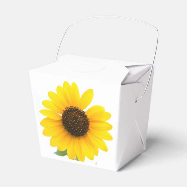 Ballotins Boîte de traitement Sunflower (Verso)