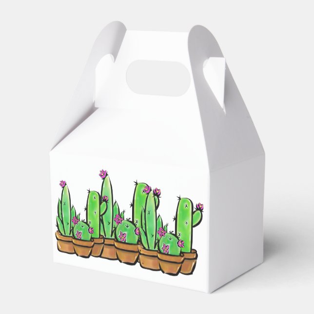 Ballotins Cactus cactus cactus cactus succulents (Arrière)