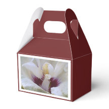 Cadeau de rose blanche Bourgogne