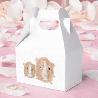 Ballotins Cage de cadeau pour cochon d'Inde