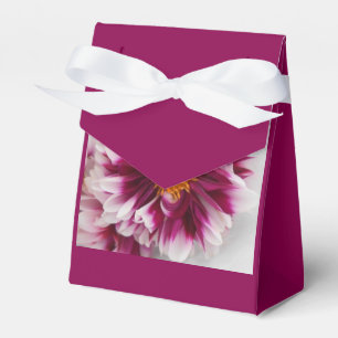 Ballotins Cartheuserine