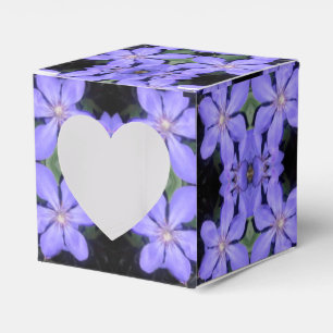 Ballotins Cé sarine