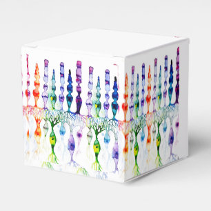 Ballotins Cellules cônes cellules tiges et neurone bipolaire