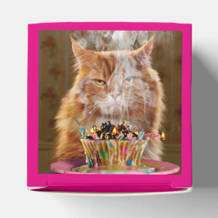 Ballotins Chat Cranky Drôle Avec Cupcake D'Anniversaire Fond