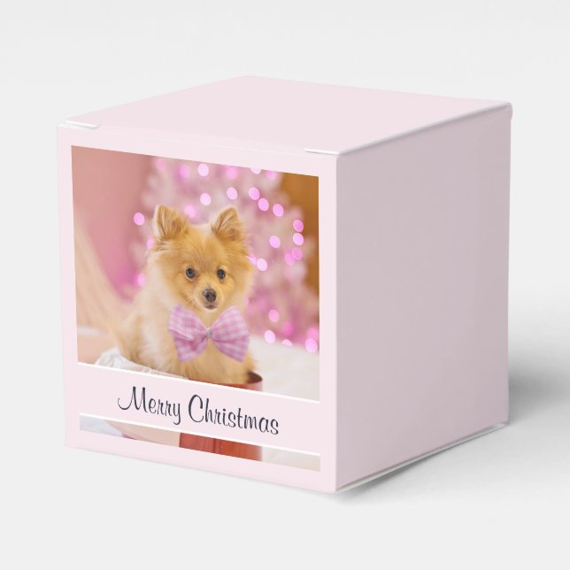Ballotins Chien mignon avec cou rose Photographie de Noël (Verso)