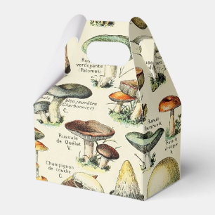 Ballotins Cottagecore Champignons Naturaliste Vintage