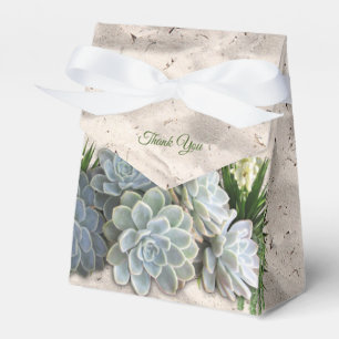 Ballotins Des teintes succulentes de blues pâles