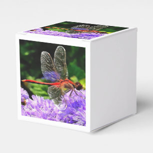 Ballotins Dragonfly rouge sur Violet Violet Fleurs