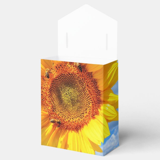 Ballotins du tournesol et des abeilles (Ouvert)