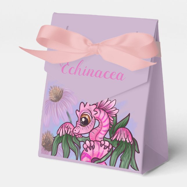 Ballotins Echinacea fleur lil' dragon de jardin (Verso)