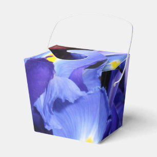 Ballotins Ermengarde