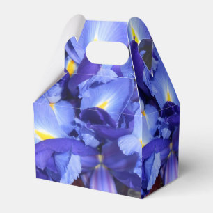 Ballotins Ermengarde