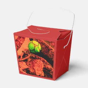 Ballotins explorateur de moustiques