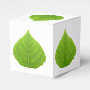 Ballotins Feuille d'Aspen vert #11