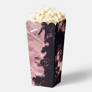 Ballotins Fireworks 18 boîtes à pop-corn