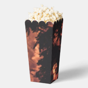 Ballotins Fireworks 20 boîtes pop-corn