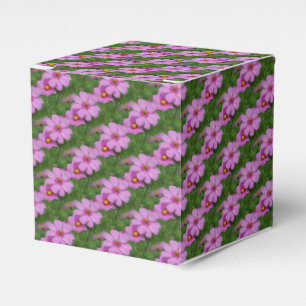Ballotins Fleur de cosmos rose motif de la nature