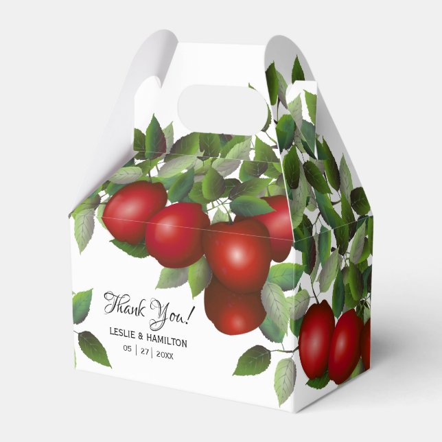 Ballotins Fruit moderne aux pommes rouges | Boîte de faveurs (Verso)