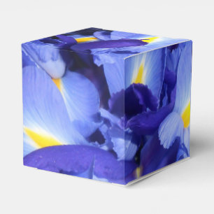 Ballotins Gaye Elise Beda, élégante, artistique, tendance, F