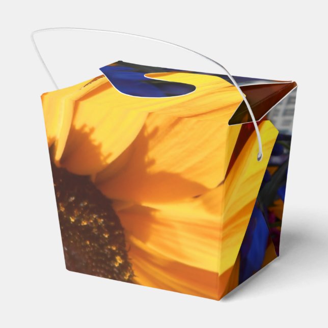 Ballotins Halte (Arrière)