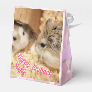 Ballotins Hammyville - Cute Hamster