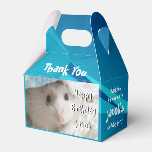 Ballotins Hammyville - Cute Hamster