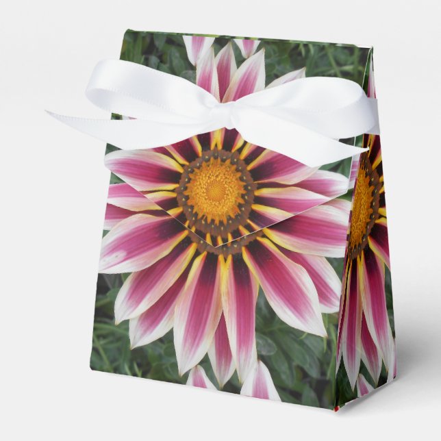 Ballotins Hereford (Verso)