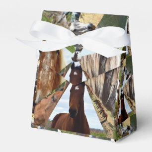 Ballotins Huit Triangles De Cheval, Boîte De Fête Faveur