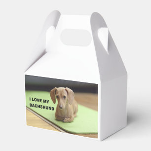 Ballotins I Love My Cream Dachshund avec photo