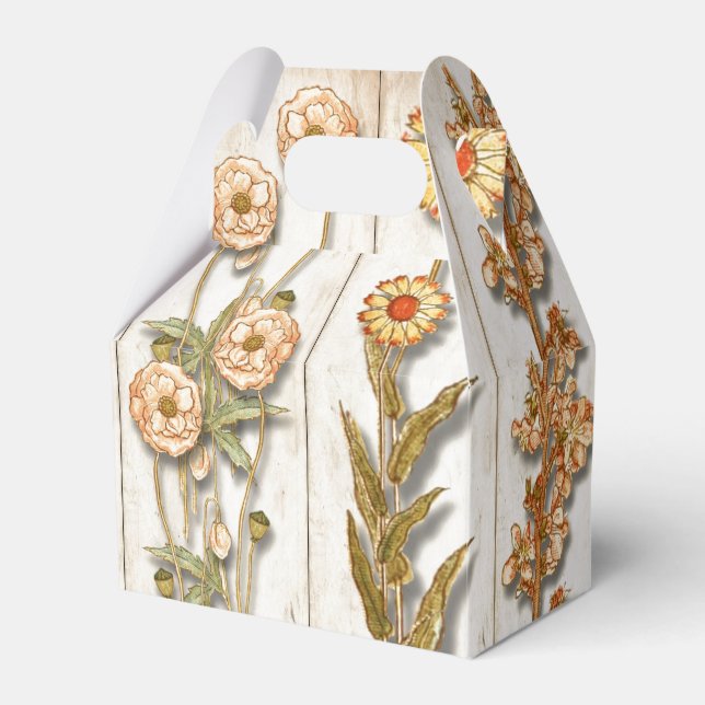 Ballotins Illustrations de Plante vintage rustique (Verso)